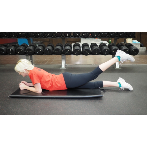 Gluteus maximus Exercises & Workouts - FreeTrainers.com