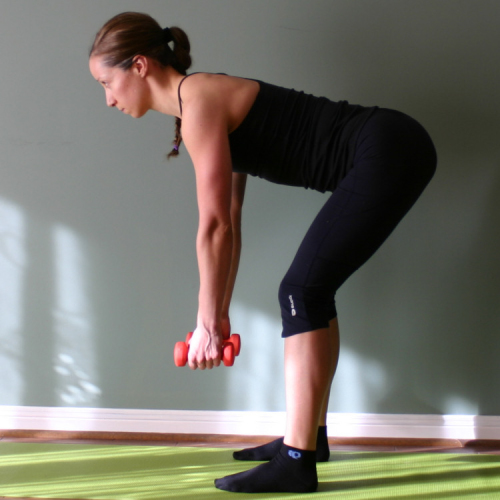 Bent Over Rows With Cans Exercise Technique Definition 