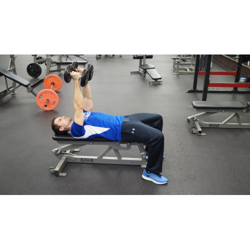 Pectoralis major Exercises & Workouts - FreeTrainers.com